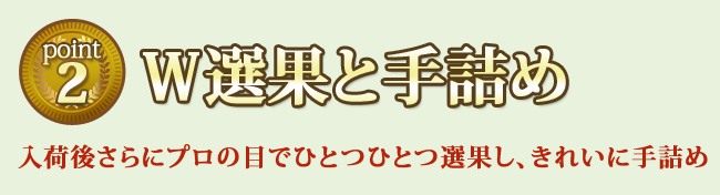 入荷したみかんをさらにプロの目でひとつひとつ選果し、きれいに手詰め