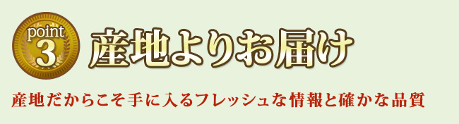 美味しい三ヶ日みかんをお届けするために産地だからこそのフレッシュな情報