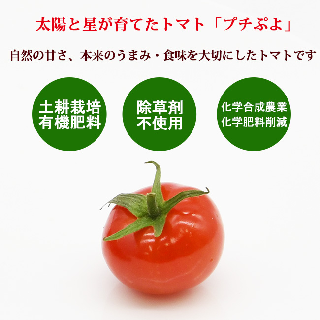 自然の甘さ、本来のうまみ・食味を大切に。土耕栽培・有機肥料、除草剤不使用、化学合成農業・化学肥料削減