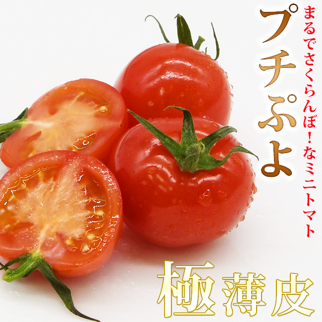 静岡産ミニトマト プチぷよ