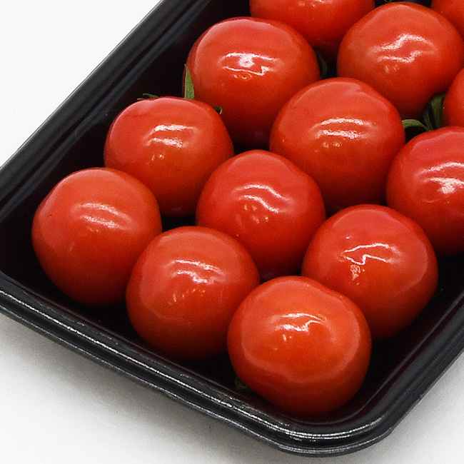 きれいに整列した様子