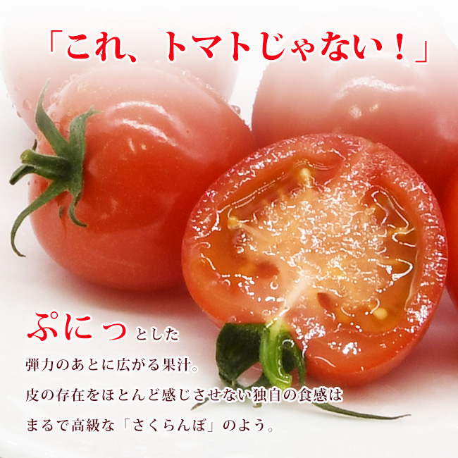 トマトじゃない！この食感と薄皮はまるでさくらんぼのよう