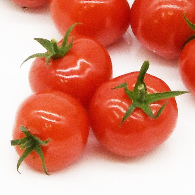 つやつやと輝くトマトの写真