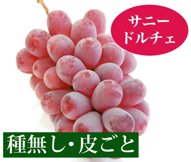 サニードルチェ