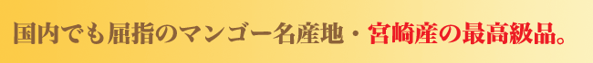 宮崎産完熟マンゴー