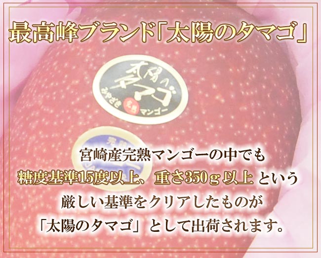 宮崎産完熟マンゴー太陽のタマゴ