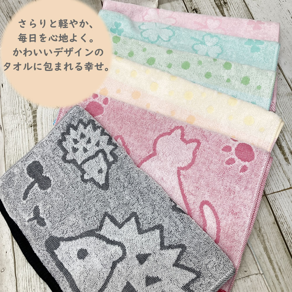 今治タオル 新 デイリータオル 今治 3枚セット フェイスタオル