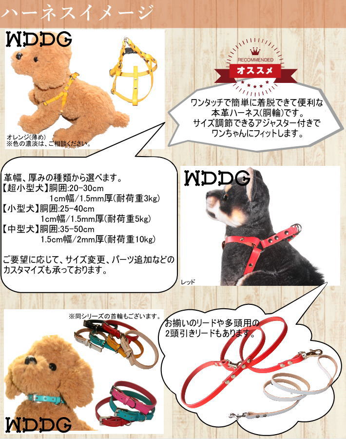 犬 革 ハーネス 胴輪 リードセット 名前入り 本革 ワンタッチ ハーネス