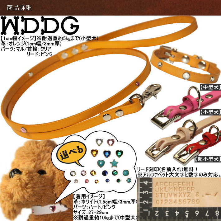 犬 革 首輪 リードセット 名前入り 本革 ジュエリー リード 首輪セット