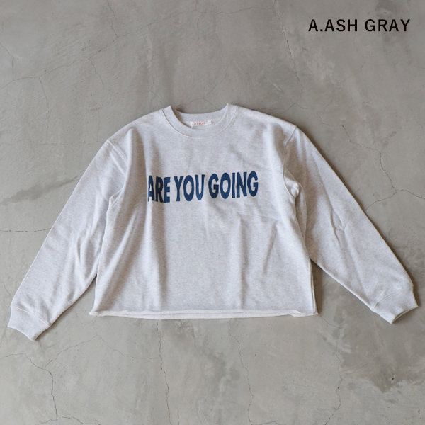 ALL HOURS オールアワーズ 10.0OZ BIG SWEAT ARE YOU GOING ビック