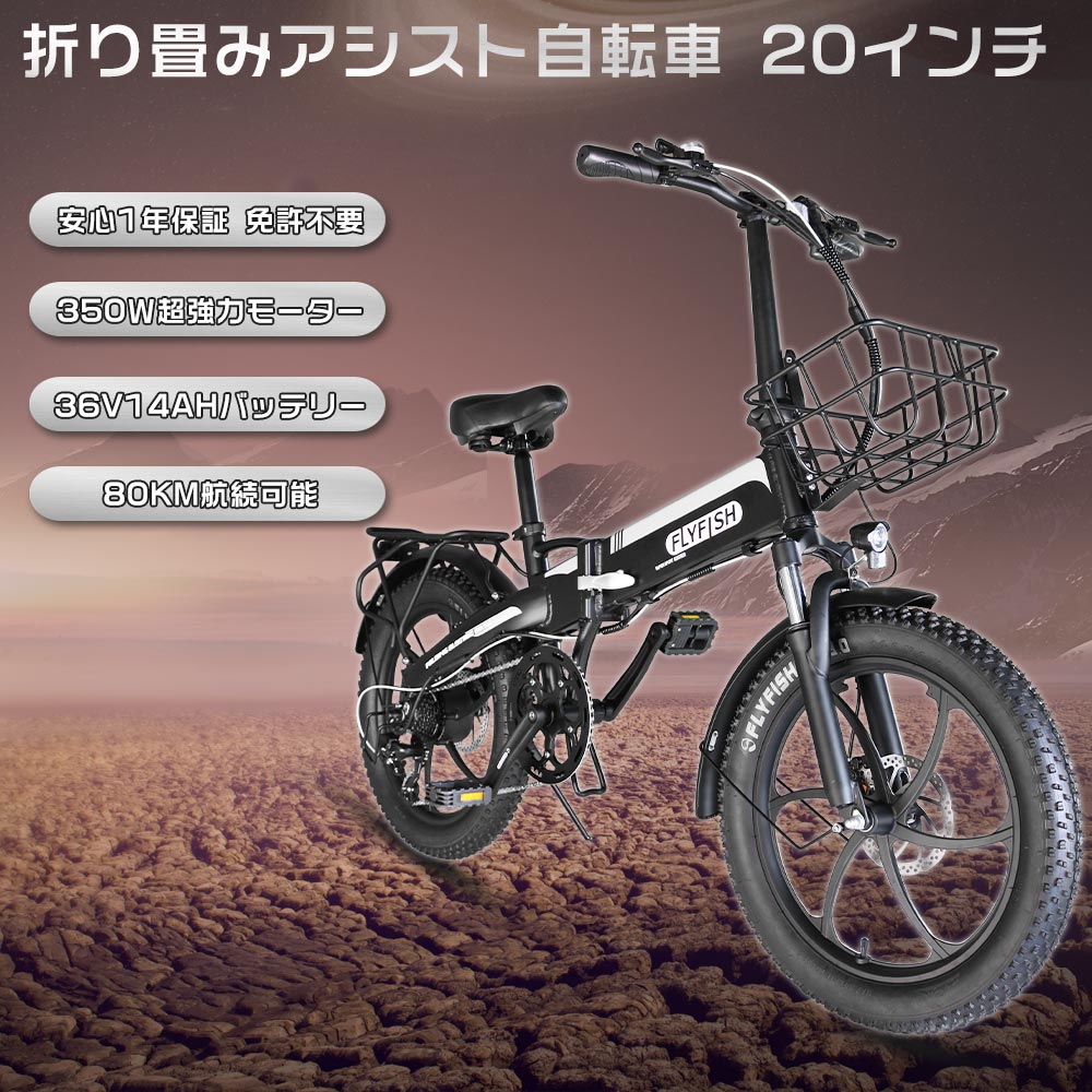 2024最新品特価 電動バイク乗り心地の良いE-BIKE 750W48V20A - 自転車本体