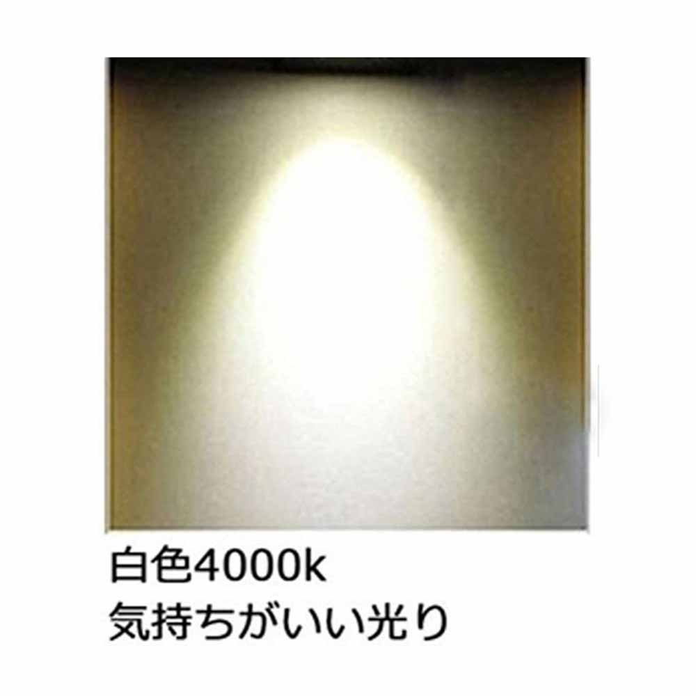【10個セット】10Wシーリングライト3畳4畳5畳6畳 おしゃれ led 玄関 常夜灯 照明 LED シーリング 明るい 子供部屋 リビング 長寿命 明るい 天井照明 節電ライトの画像