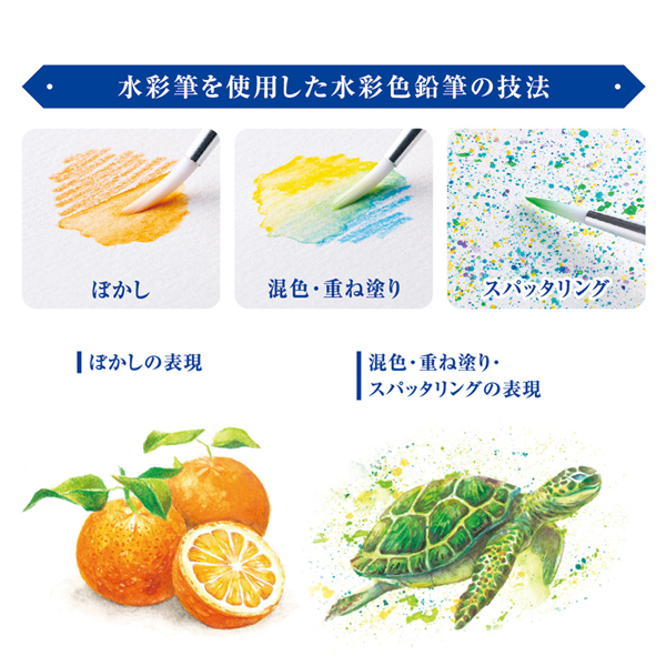 アートライン リベリオ 色鉛筆 水彩色鉛筆 60色/ 100色KCPL-60C/H KCPL-100C/H KCPL-W60C/H KCPL-W100C/H |  | 08