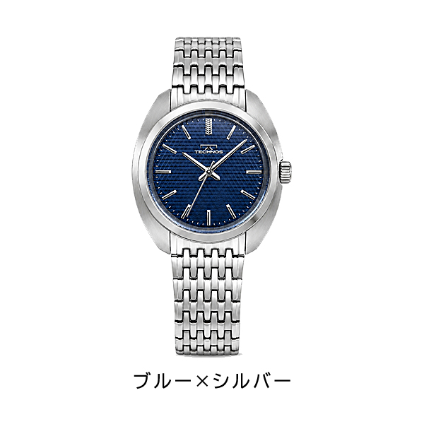 テクノス メンズ 腕時計 アナログ 100年記念モデル 国内モデル T6C41SS 