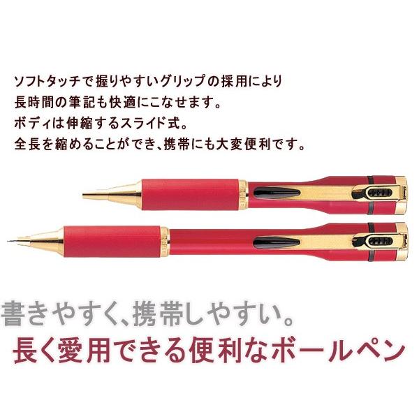 シャチハタ ネームペン キャップレスS ボールペン 0.7mm ペールグリーン×シルバースライドボディー 伸縮式 ボールペン ネーム印 浸透印TKS-CUS3 48403｜1more｜03