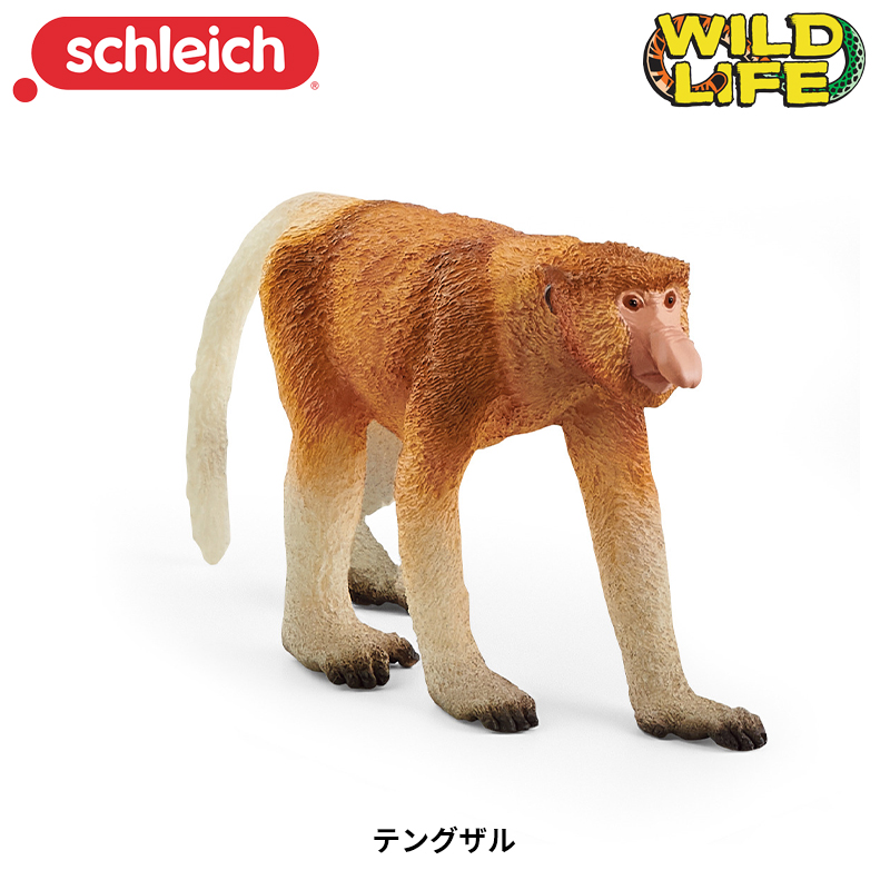 ���i�摜