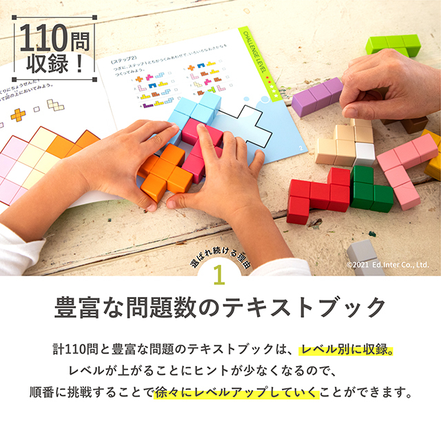 立体パズル エドインター 知育玩具 木製玩具 木製ブロック おもちゃ 型 
