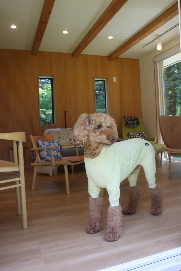Hakusan]愛犬の体に優しくフィットする軽量オーバーオール【エア