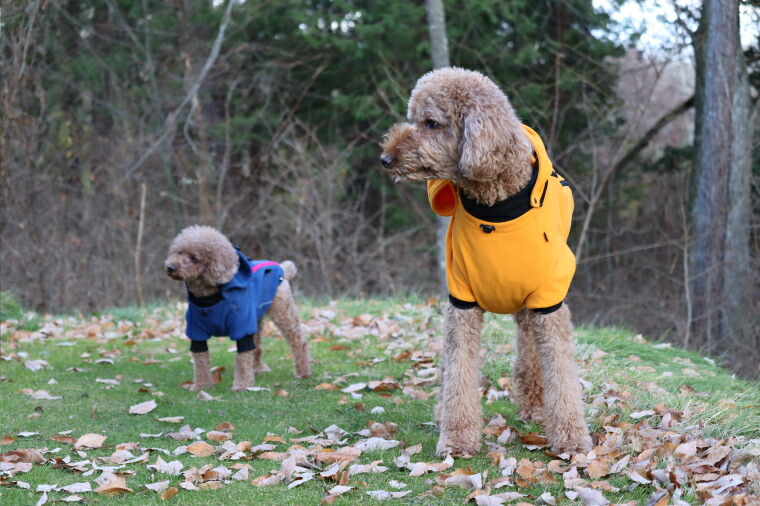 Hakusan]ポーラテックフリースを採用したフィット感抜群の【ドラゴン