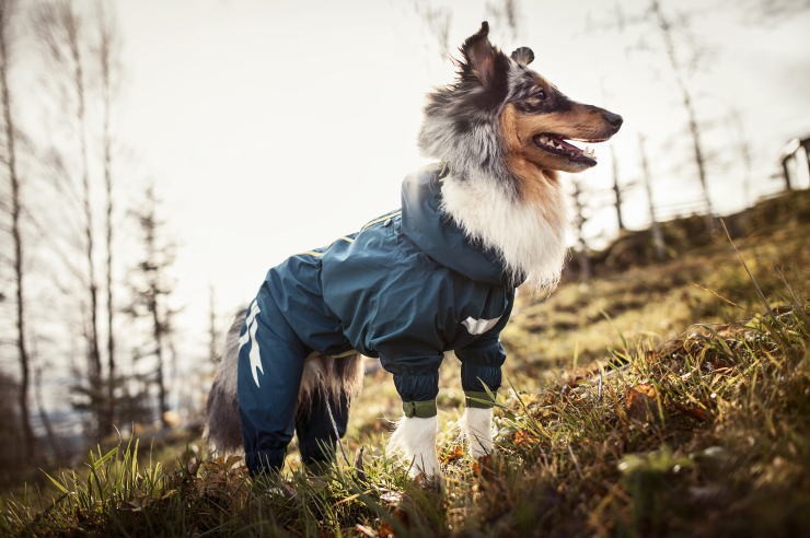 廃盤[Hurtta][フルッタ] ドッグレインコート [Hurtta Slush Combat