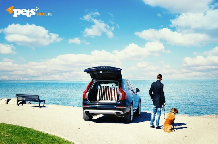 4pets]スイス製ドッグケージ【イーグル】大型犬用 : 1stDogCafe - 通販