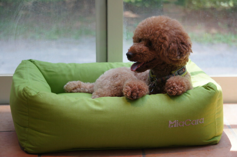 MiaCara ボックスドッグベッド【LUVIO_BOXBED・Lサイズ】Made in