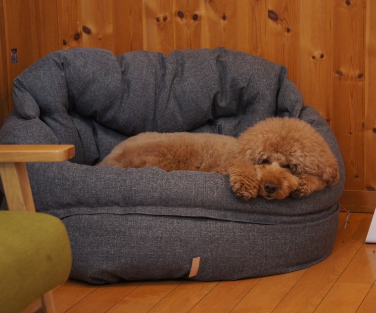 北欧・エストニア NUFNUF プレミアムドッグクッション BENJI 