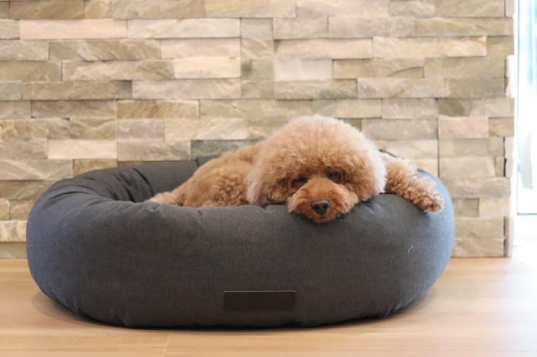 MiaCara ドッグサークルクッション【RONDO・Lサイズ】Made in Germany