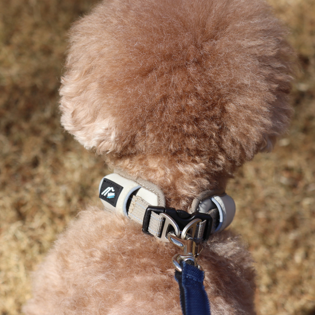Hakusan]愛犬の首に優しくフィットするダブルリング首輪【ゼロ