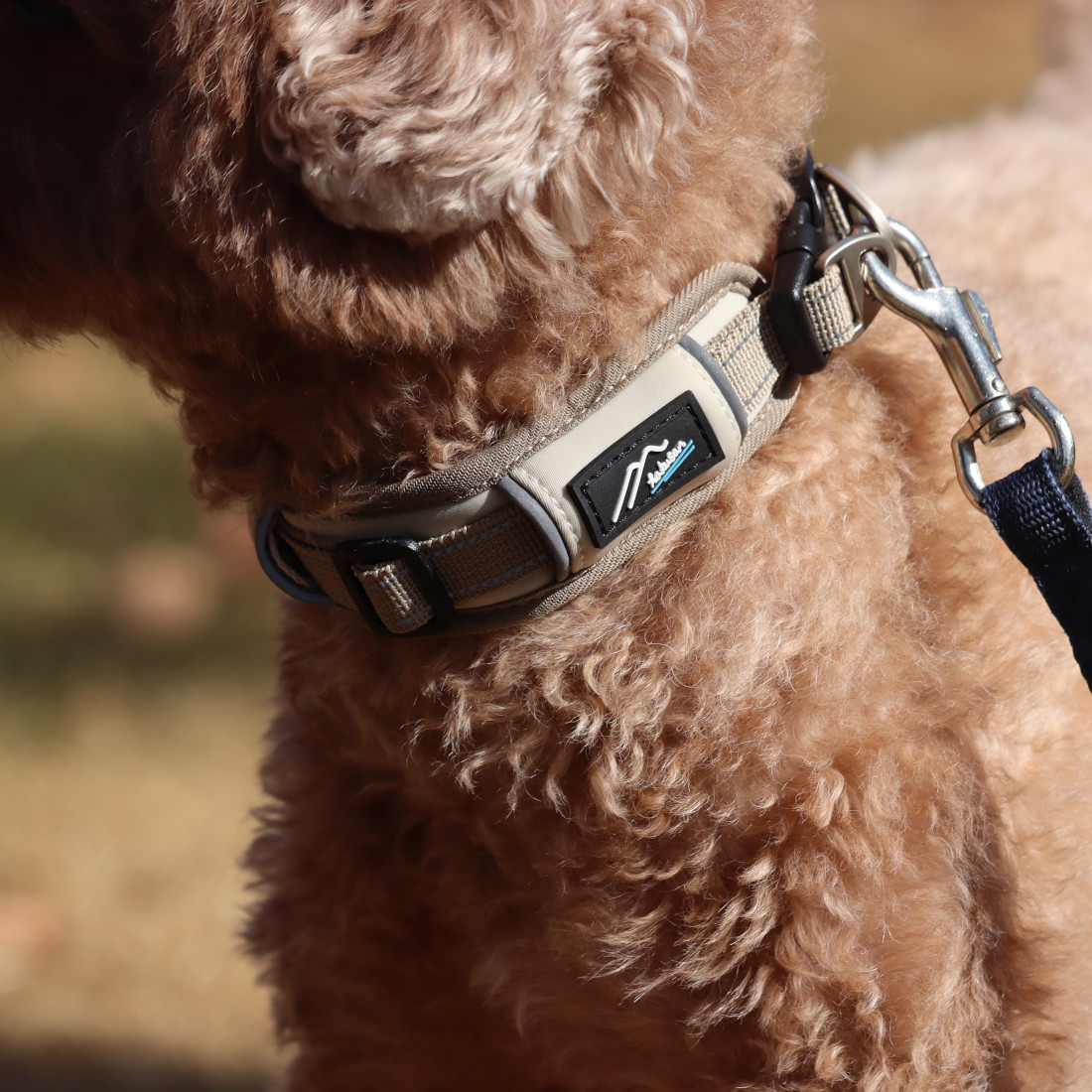 Hakusan]愛犬の首に優しくフィットするダブルリング首輪【ゼロ