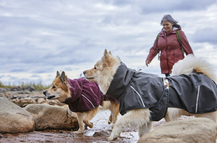 Hurtta】【フルッタ】・レインジャケット「マッドベンチャーコート」小型犬用 : 10000935 : 1stDogCafe - 通販 -  Yahoo!ショッピング