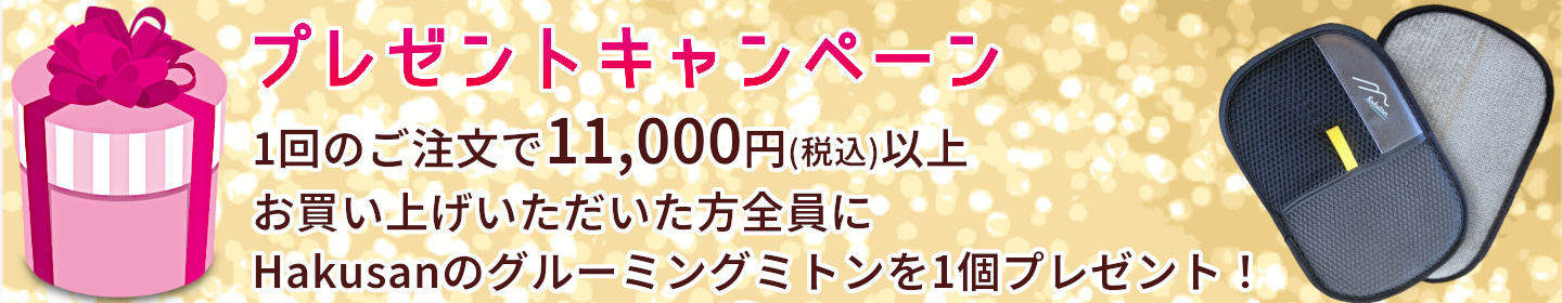1stDogCafe ヘッダー画像