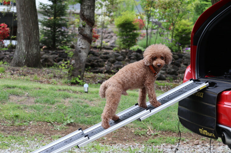 安心・安全を追求した【Hakusan・ドッグスロープ】 : 1stDogCafe