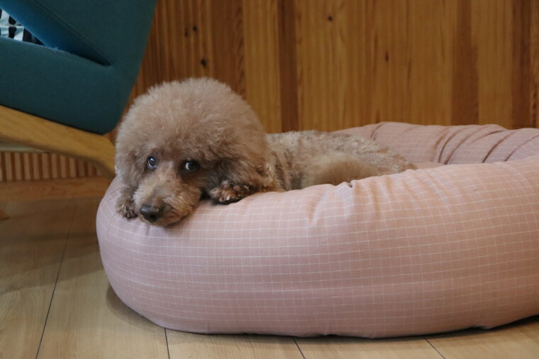 犬用品 tadazhi 円形 ペット用クッション テラコッタ