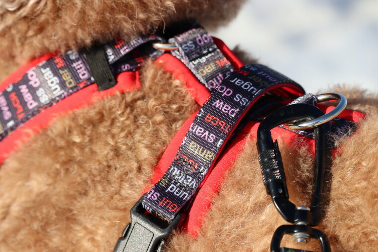 &ラティア メガラティアスEX SAR 280HP - メルカリ