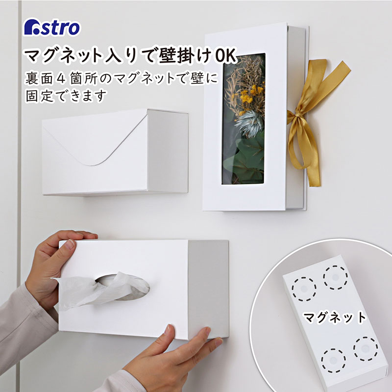 ASTROティッシュカバーASTRO枕カバー