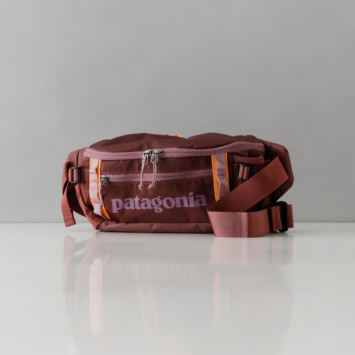 patagonia パタゴニア Patagonia ベルトバッグ バッグ ウエスト