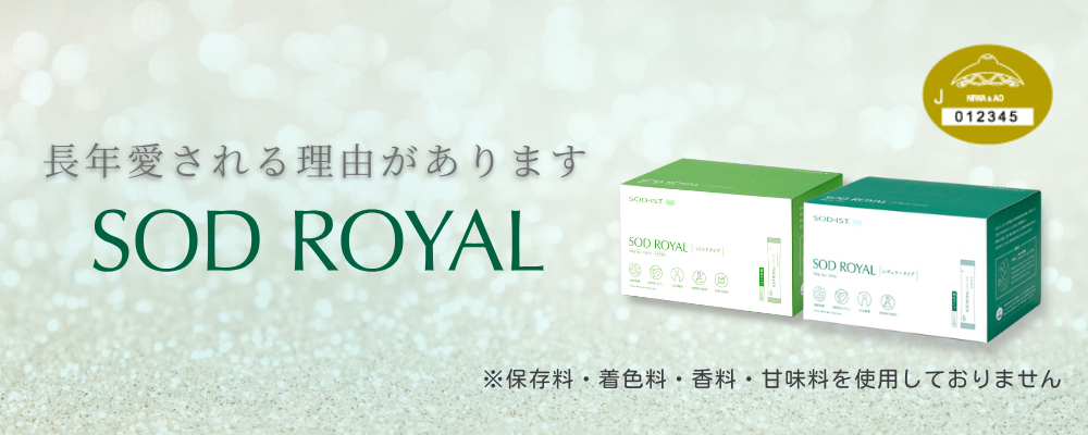 丹羽SODドットコム Yahoo!店 - Yahoo!ショッピング