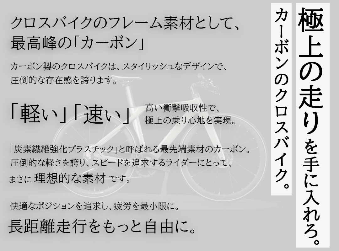 クロスバイク カーボンフレーム(東レ炭素繊維複合材料) シマノ製12段変速搭載 700×28c 700c 自転車 軽量 高級  ディスクブレーキ 通勤 通学 送料無料【CBC12】 | 21Technology | 08