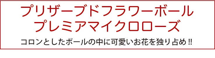 プリザーブドフラワーボールプレミアマイクロローズ