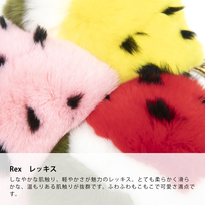 レッキス ラビット バッグチャーム キーホルダー スイカ型