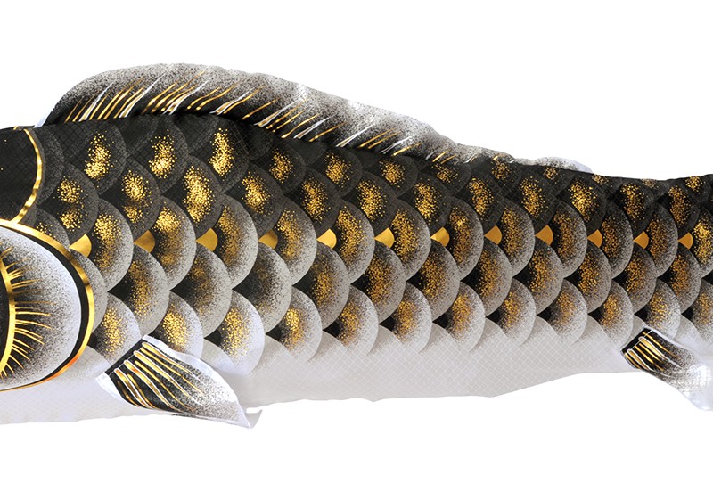 2 m小型台灯设置龙吟鲤鱼纹名字放入可h 265 - mkcp - 155 - 174-日本