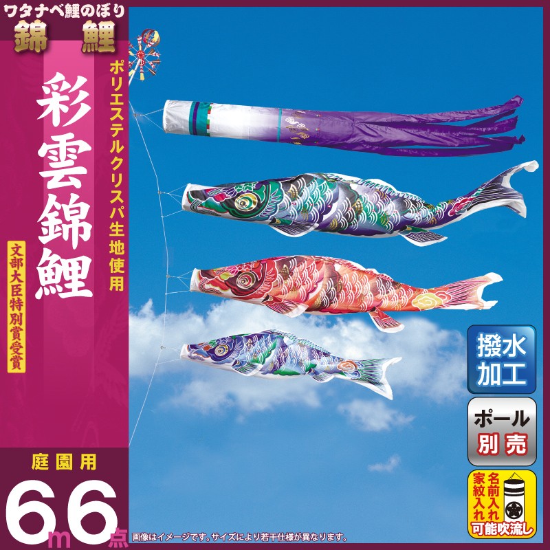 ワタナベ鯉のぼり こいのぼり 錦鯉 ワタナベ 鯉のぼり 庭園用 6m