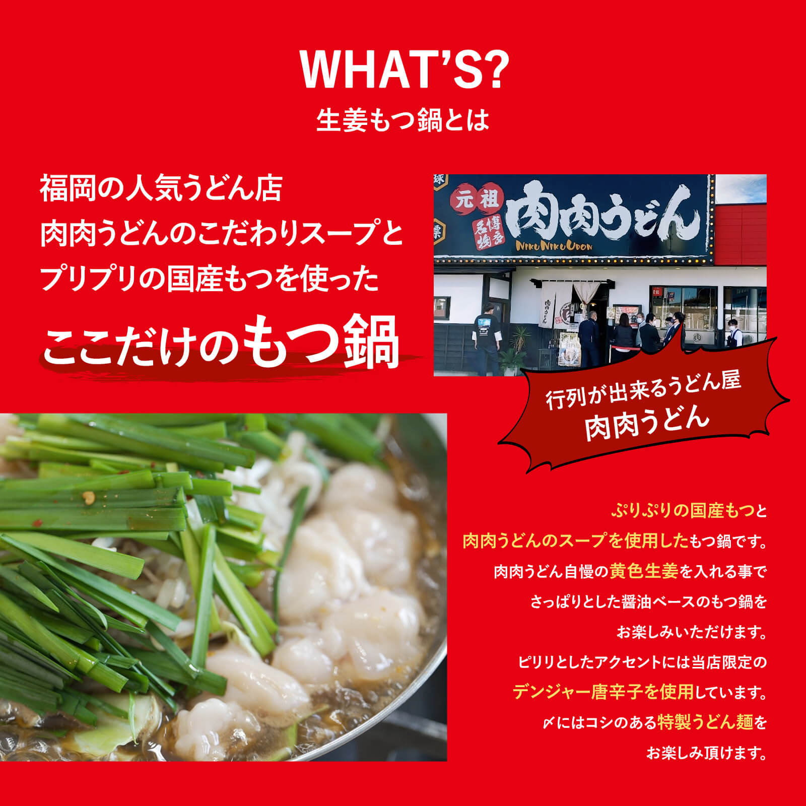 国産牛生姜もつ鍋 冷食 2人前