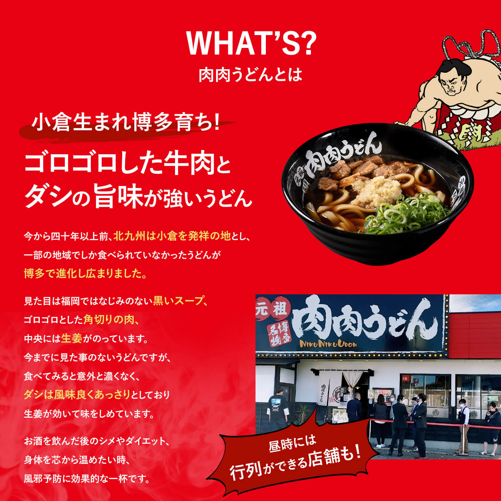 元祖博多名物 肉肉うどん 冷食うどん麺 3食入り