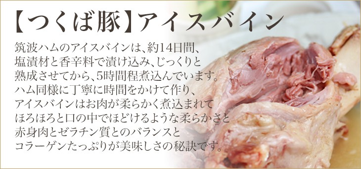 アイスバイン