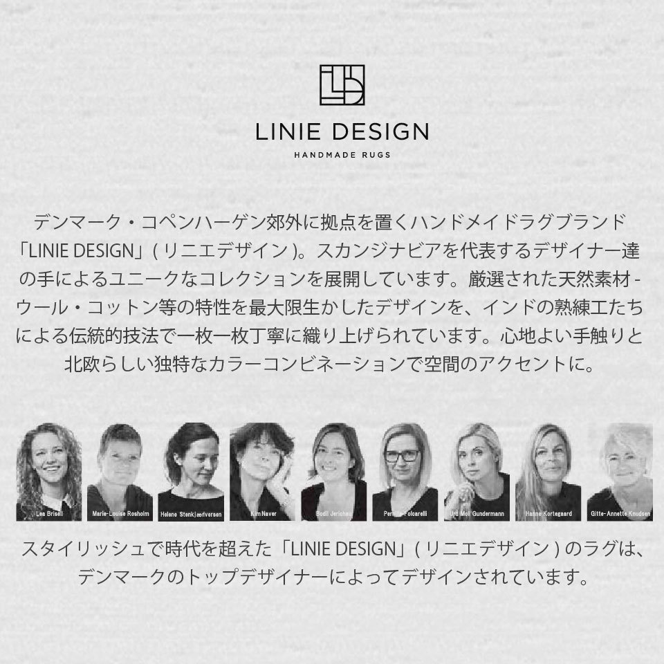 直売値下げ 展示未使用品 LINIE DESIGN リニエデザイン ラグ④ www.esn