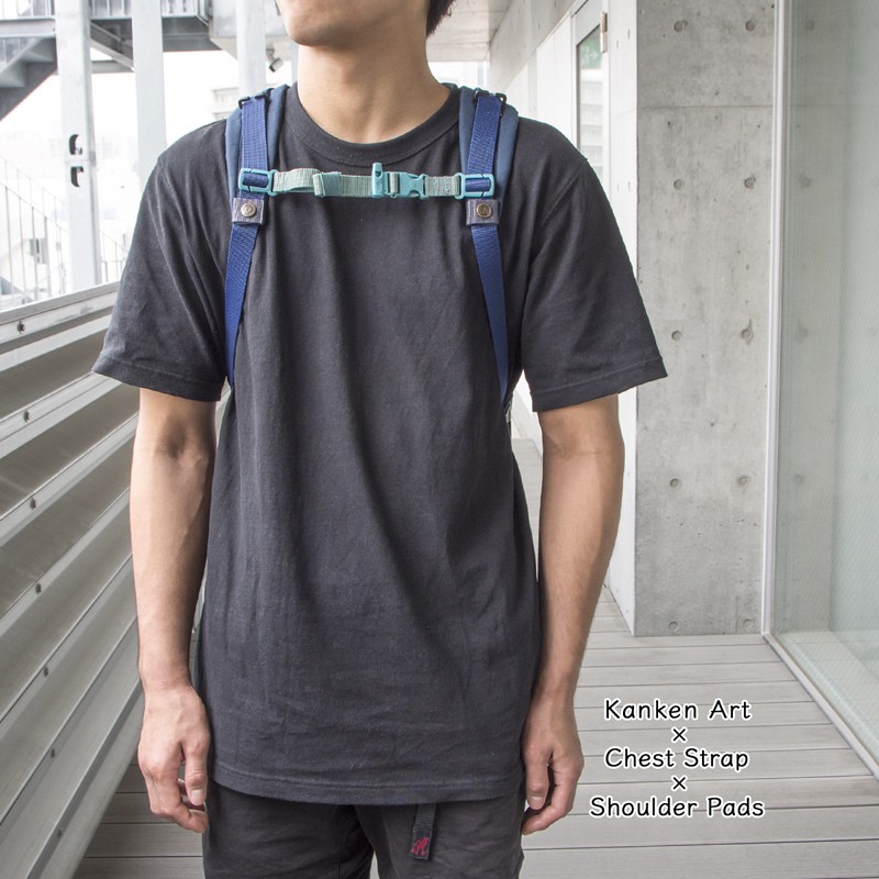 チェストストラップ Fjall Raven フェールラーベン Chest Strap : fr