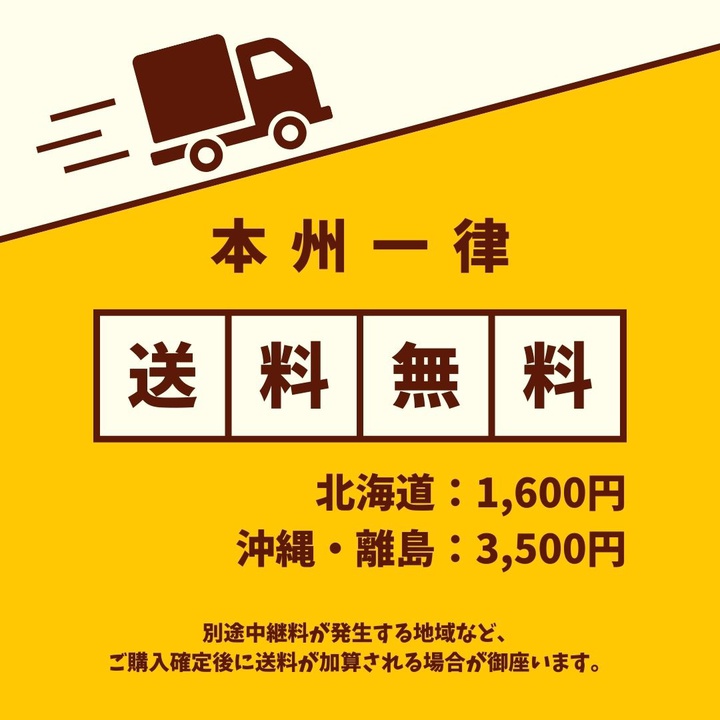 トヨタ ノア/ヴォクシー90系 (R4/1〜) 専用サイドバイザー VA-T037WXJ