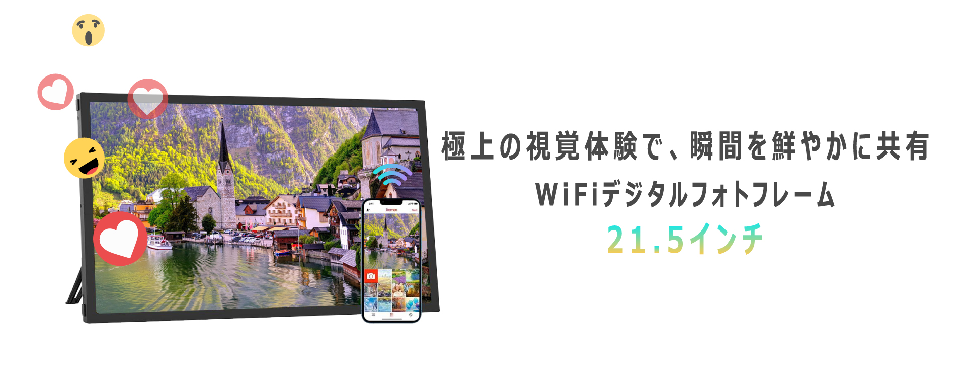 M&F スタローン&シュワちゃん　2冊セット 三四郎市場二号店 - Yahoo!ショッピング